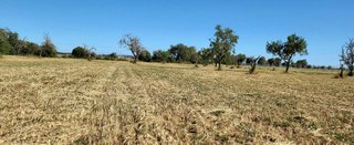 Terreno en venta en Campos