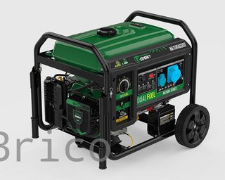 Generador Dual Propano - Gasolina NATURA 5500W - 230V