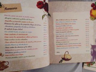 Libro Remedios naturales