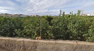 Solar en venta en San José de la Vega en Murcia