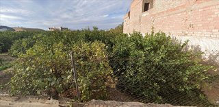 Solar en venta en San José de la Vega en Murcia