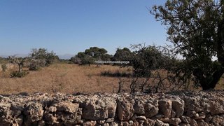 Casa rural en venta en Algaida