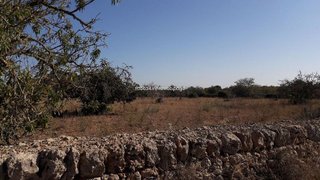Casa rural en venta en Algaida