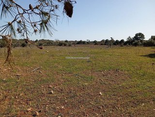 Casa rural en venta en Algaida