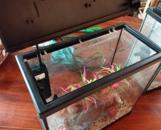 Confezione da 2 acquari Aquatlantis completi