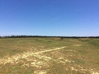 Terreno en venta en Almonte en Almonte