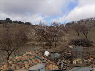 Nave industrial en venta en Vélez-Rubio