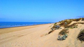 Terreno en venta en Santa María en Marbella