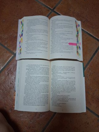 Libros a través de mi ventana y a través de ti.