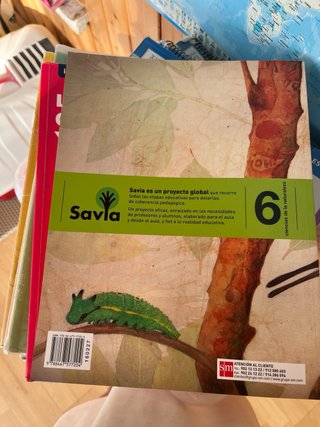 Ciencias de la naturaleza, 6 Primaria, Comunida...