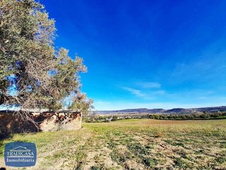 Terreno en venta en Arcos de la Frontera