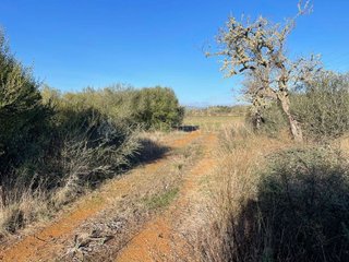Solar en venta en Campos