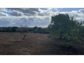 Terreno en venta en Santanyí en Santanyí
