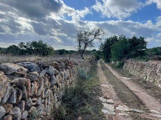 Terreno en venta en Santanyí en Santanyí