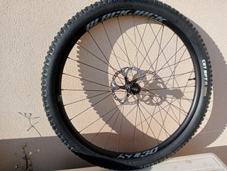 29 x30 eBike Enduro llanta delantera con cubierta