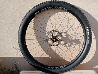 29 x30 eBike Enduro llanta delantera con cubierta