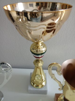 Set 3 Coppe Trofeo Oro Argento