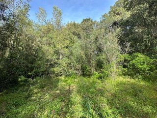 Terreno en venta en Artà en Artà