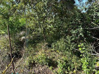 Terreno en venta en Artà en Artà
