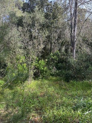 Terreno en venta en Artà en Artà
