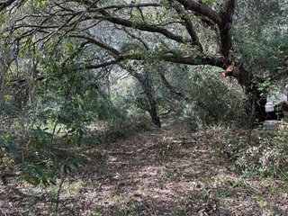 Terreno en venta en Artà en Artà