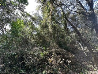 Terreno en venta en Artà en Artà