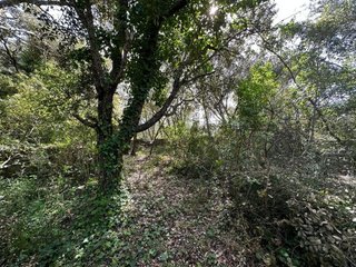 Terreno en venta en Artà en Artà