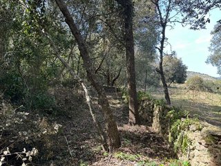 Terreno en venta en Artà en Artà