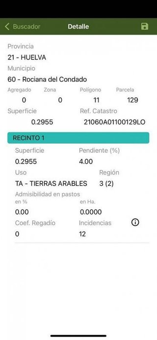 Terreno en venta en Rociana del Condado