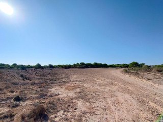 Solar en venta en San Fulgencio