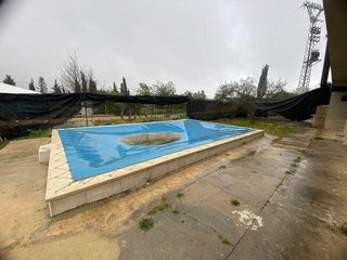 Terreno en venta en Rociana del Condado