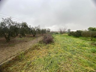 Terreno en venta en Rociana del Condado