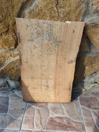Lote madera de pino