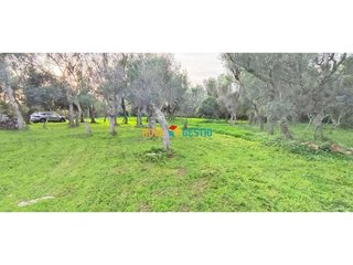 Casa rural en alquiler en Manacor Centro en Manacor