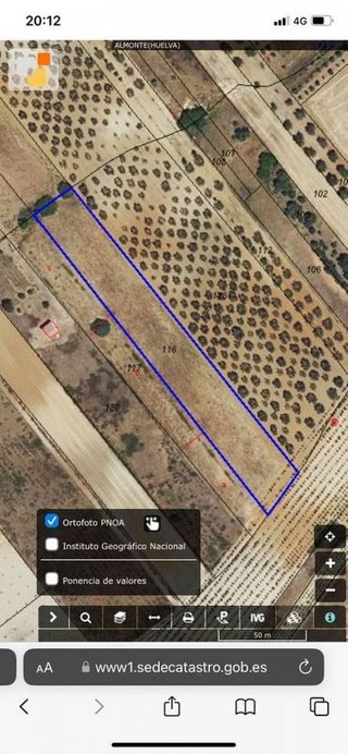 Terreno en venta en Rociana del Condado