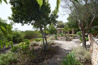 Casa rural en alquiler en Manacor Centro en Manacor