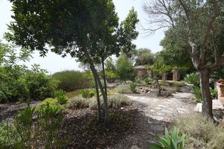 Casa rural en alquiler en Manacor Centro en Manacor