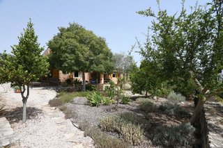 Casa rural en alquiler en Manacor Centro en Manacor
