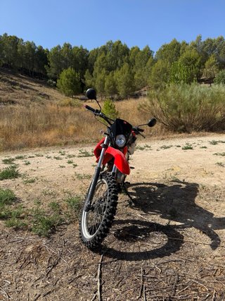 Derbi Senda Baja 125cc (Carne A1 y B)