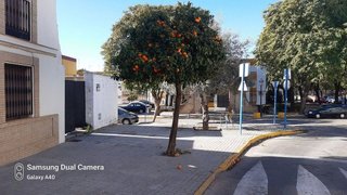 Terreno en venta en Casco Antiguo en Mairena del Aljarafe