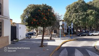 Terreno en venta en Casco Antiguo en Mairena del Aljarafe