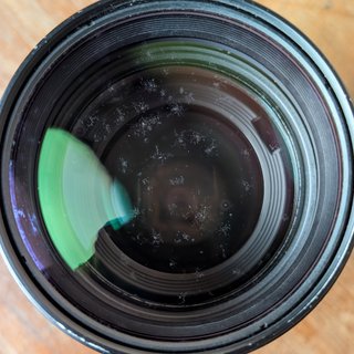 Canon EF 70-200mm f/2.8 L USM