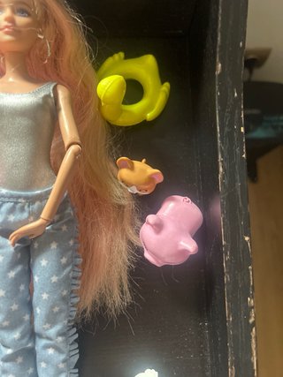 Barbie con accesorios