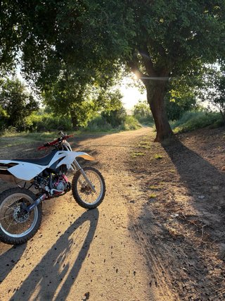 Beta RRT 50 itv 2028
