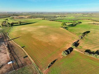 Solar en venta en Carmona