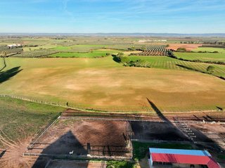 Solar en venta en Carmona