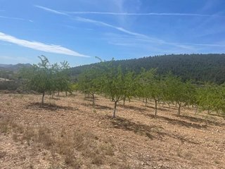 Solar en venta en Tomelloso