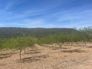 Solar en venta en Tomelloso