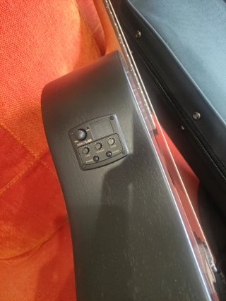 Guitarra Tramontana, Amplificador y Funda