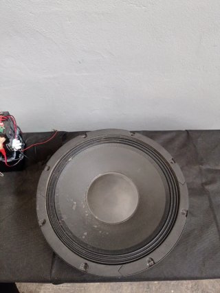dB Technologies 12 Pulgadas